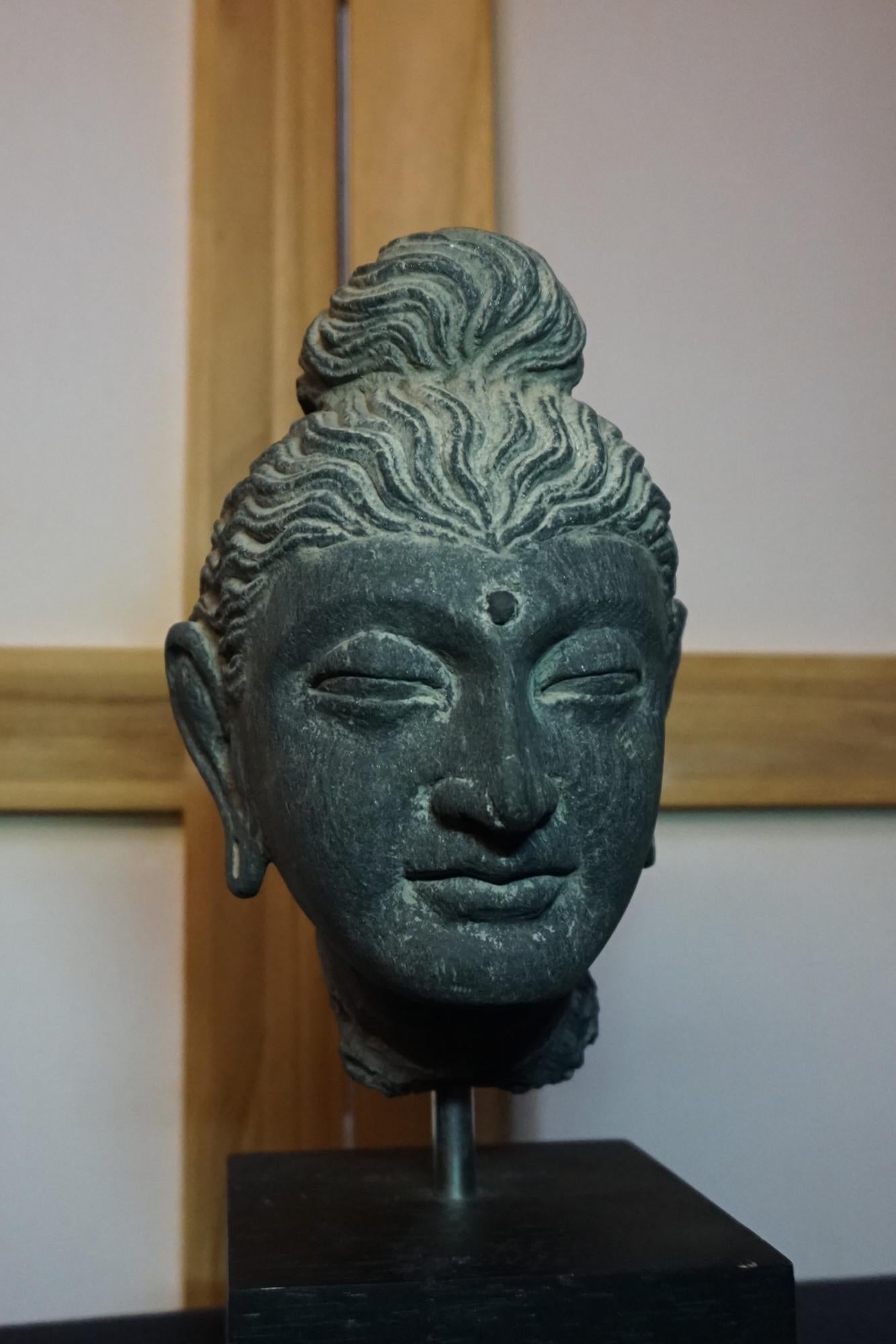 A gray schist head of Buddha GANDHARA, 2ND/3RD CENTURY