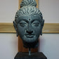 A gray schist head of Buddha GANDHARA, 2ND/3RD CENTURY