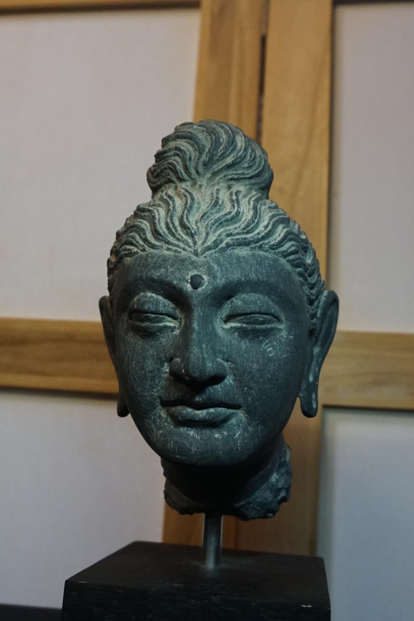 A gray schist head of Buddha GANDHARA, 2ND/3RD CENTURY