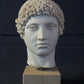 Vintage Greek style Head of Hera