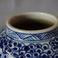Chinese Blue & White porcelain Jar