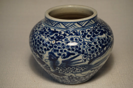Chinese Blue & White porcelain Jar
