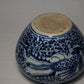 Chinese Blue & White porcelain Jar